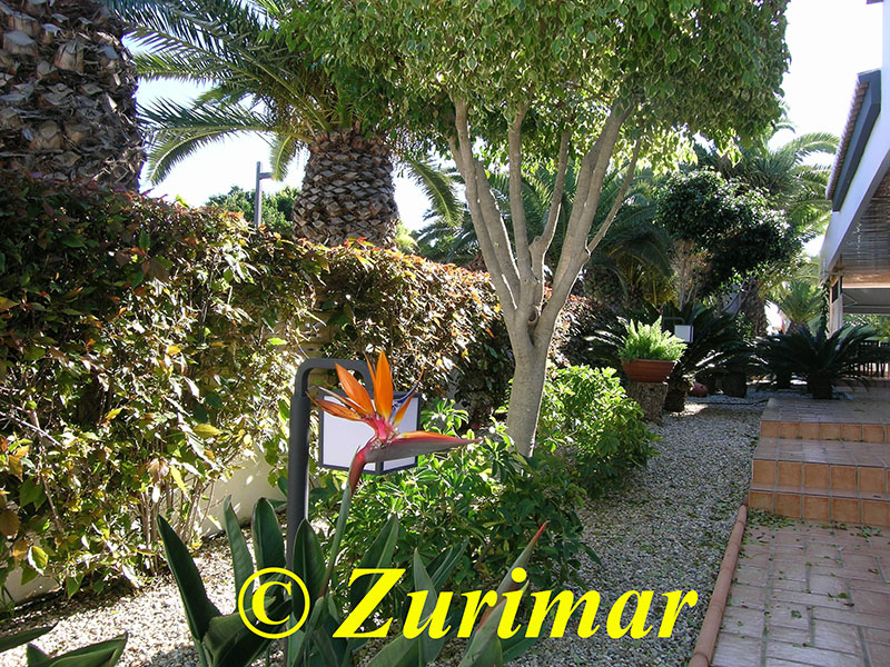 Einfamilienhaus mit 4 Schlafzimmer und grossem Keller mit Garage.