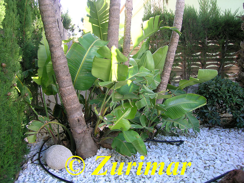 Einfamilienhaus mit 4 Schlafzimmer und grossem Keller mit Garage.