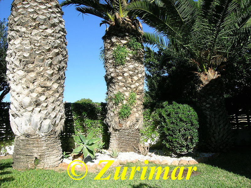 Einfamilienhaus mit 4 Schlafzimmer und grossem Keller mit Garage.