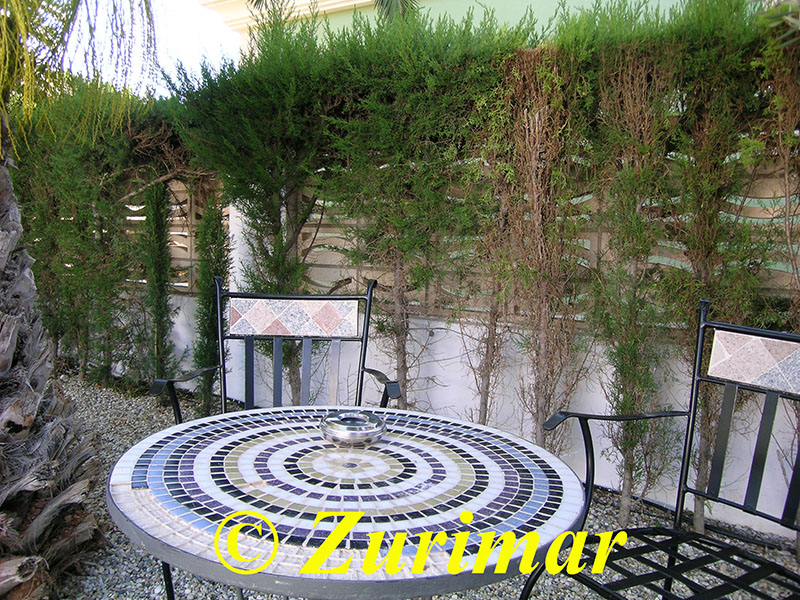 Einfamilienhaus mit 4 Schlafzimmer und grossem Keller mit Garage.