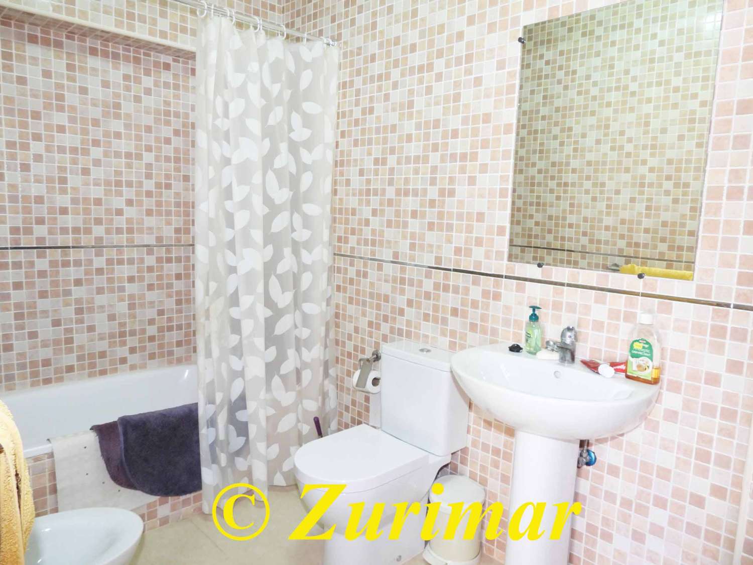 Haus mit Terrasse/Vorgarten  in Enix