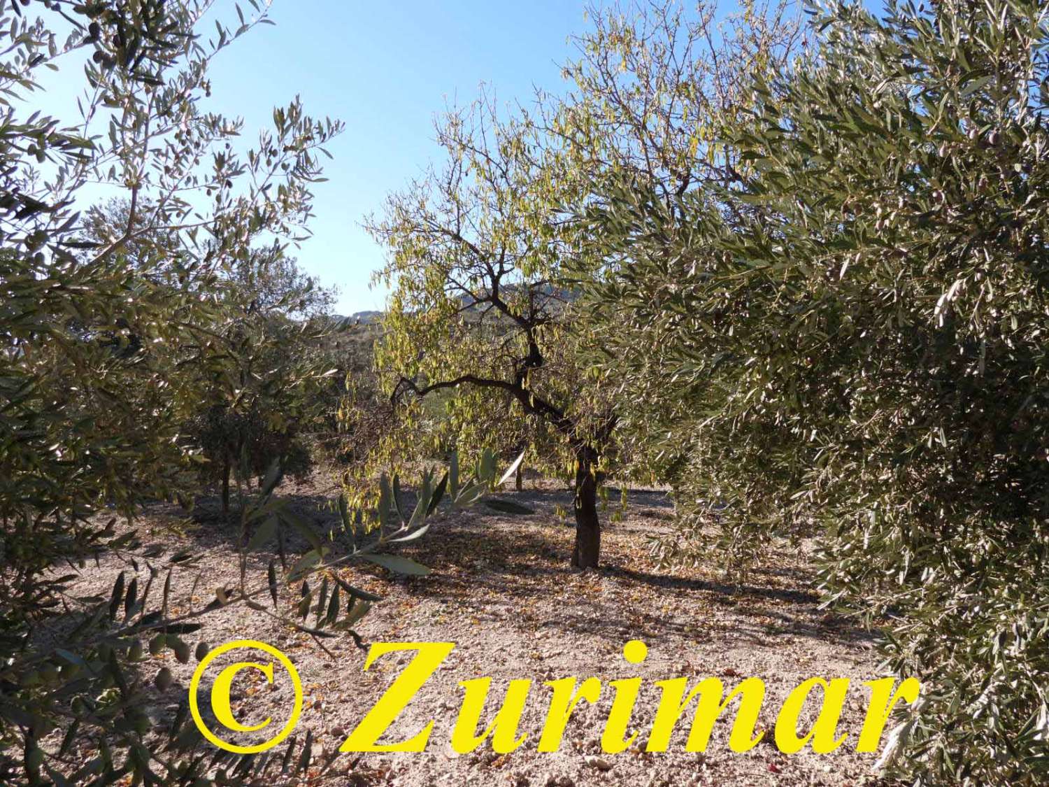 Cortijo - Felix, Alpujarra Almeriense